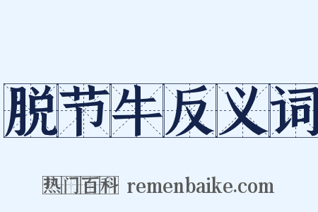 脱节牛反义词是什么意思的图片